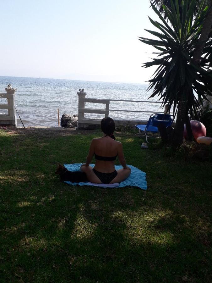 Villa By The Sea - Βίλα Πάνω Στη Θάλασσα Kávos Extérieur photo